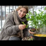 Cette plante remplace les cubes de bouillon en cuisine : je la mets en pot à cette période idéale
