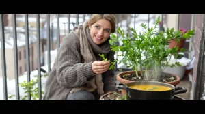 Cette plante remplace les cubes de bouillon en cuisine : je la mets en pot à cette période idéale