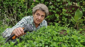 Jardinage : est-il vraiment interdit de tailler sa haie après le 15 mars ? Voici la règle à connaître
